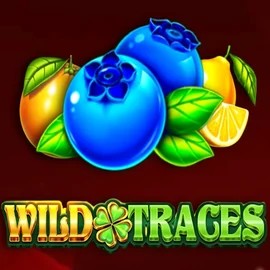 Wild Traces logo by Amusnet Interactive Hollywin Casino